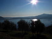 MONTE BRONZONE - 8 gennaio 2012 - FOTOGALLERY